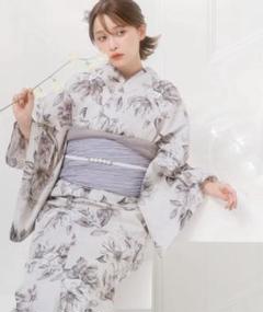 うたかたの月下美人  2点 セット うたかたの月下美人 2点 セット