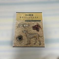 カラーアトラス　犬のX線解剖　猫のX線解剖 Amazon.co.jp: ベテリナリ-・アナトミ-: 犬と猫の解剖カラ