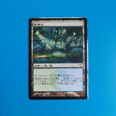 mtg 繁殖池 日本語