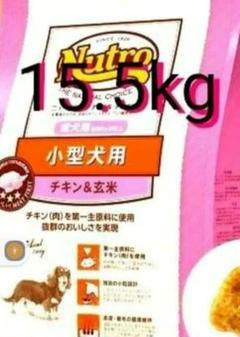 2025年最新】ナチュラルチョイス 15kgの人気アイテム - メルカリ