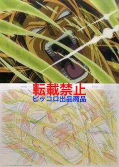 【激レア】ドラゴンボール超　フルパワー ブロリー セル画アートシート 鳥山明 激レア】ドラゴンボール超 フルパワー ブロリー セル画アート