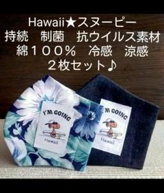 セール♪ハンドメイド大きめインナーマスク持続 制菌抗ウイルス 接触冷感メルカリ便