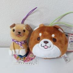 豆柴 柴犬 ぬいぐるみ キーホルダー 2点セット - メルカリ