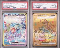 テラパゴスex UR SAR PSA10 テラスタルフェス テラスタルフェスex SAR】テラパゴスex 226/187 - マナソース
