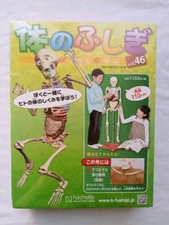 アーサーが教える 体のふしぎ41〜80巻【2/2】※商品説明を必ずお読み下さい‼︎ 2025年最新】アーサー 体のふしぎの人気アイテム - メルカリ