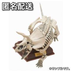 ネイチャーテクニカラー　古生物　台座シリーズ　ガチャガチャ　骨格　恐竜 ネイチャーテクニカラー 古生物 トリケラトプス 骨格標本色 いき
