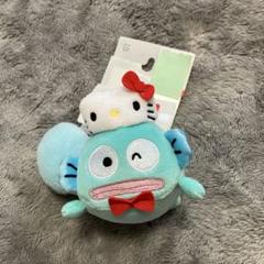 ハローキティ 50周年　マスキングテープ 2個セット　ハンギョドン　ポチャッコ imgrc0093043852.jpg