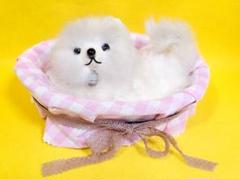 昭和レトロ　当時もの　スピッツ？ポメラニアン？　犬のぬいぐるみ2体セット 手作りのスピッツの子犬、テディ犬、小さなスピッツ