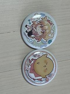 P丸様。 缶バッチ 25個セット バラ売り可 P丸様。 缶バッチ 25個セット バラ売り可（P丸様。缶バッチ SEGA