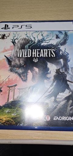 WILD HEARTS PS5