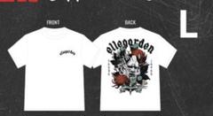 新品未開封ELLEGARDENエルレガーデン 2025ロンTシャツホワイト白XL ELLEGARDEN ロンT 白 Lサイズ新品未開封 - メルカリ