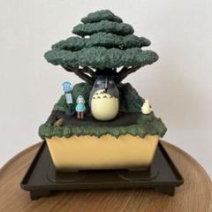となりのトトロ ウォーターガーデン BONSAI 笠宿