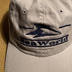 90s California San Diego Sea World Cap