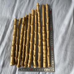 釣り具・その他グリップ用布袋竹「中太・極上物・浅く芽取り済み」11本セットA 楽天市場】最高級品【布袋竹N1002】 グリップに最適7 : はっぴ