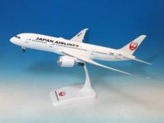航空機・ヘリコプター JAL B787-8 JA844J 機体記号 : JA847J (JAL) 航空機体ガイド | FlyTeam(フライチーム)