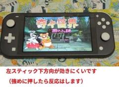少し訳あり　任天堂 スイッチライト グレー　 switchlite