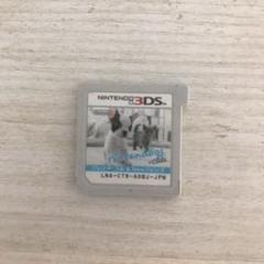 nintendogs フレンチ・ブル＆Newフレンズ