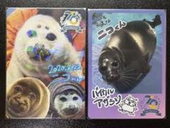 鳥羽水族館　コレクションカード　ニコ 鳥羽水族館70周年記念 コレクションカード ニコ（レア）＋