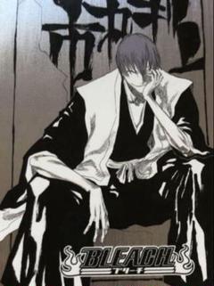 BLEACH highschool 市丸ギン locus 証明写真風ブロマイド BLEACH highschool 市丸ギン 証明写真風ブロマイド 缶バッジ