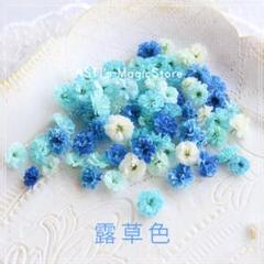 かすみ草 4083e014c7084ee98292de6582c3c6
