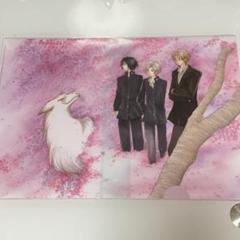 夏目友人帳 原画展 限定 パンフレット クリアファイル ポストカード まとめ売り グッズ | アニメ 夏目友人帳展