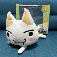 TAITO - s25t-0489y【中古】【未使用】どこでもいっしょ　ファンコレクション　TOP5　トロクロごっこだニャ　トロ　ぬいぐるみ 2025年最新】トロ ぬいぐるみ どこでもいっしょの人気アイテム