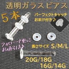 No.100 1カラット モアサナイトピアス S925シルバー VVS Dカラー