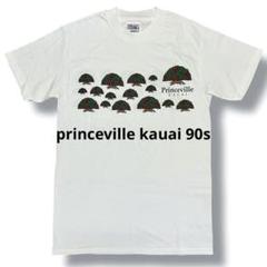 princeville kauai 90s USA製 Tシャツ シングルステッチ