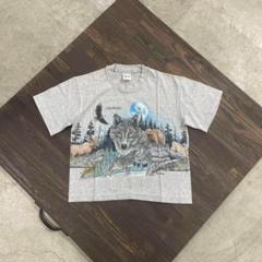 7SM1 【anvil】90's USA製　マウンテンTシャツ　シルスクリーン