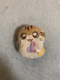 ハム太郎　かぷっこふれんず　トラハムちゃん