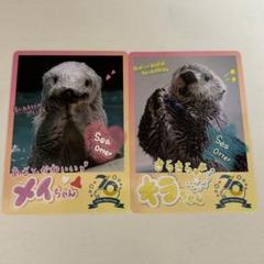 【レア】鳥羽水族館 ジュゴン セレナ キラキラ コレクションカード コレカ レアカード】鳥羽水族館 ジュゴン セレナ キラキラ コレクション