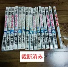 ※裁断済み・難あり※ エヴァンゲリオン 全14巻＋公式ガイドブック 貞本義行