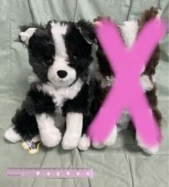 くったりボーダーコリー  おりこうさん  マロン  JB ≪1月の新商品≫くったりボーダーコリーおりこうさん