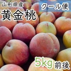 2025年最新】桃 訳あり 10kgの人気アイテム - メルカリ