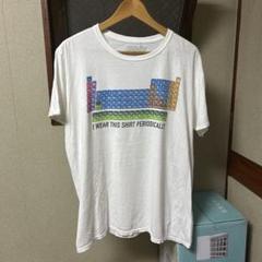 ヴィンテージ 馬 Tシャツ 在原みゆき anvilタグ 80s 90s