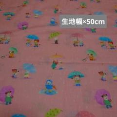 yukiemon ユキエモン レインポケット ハギレ 生地 布