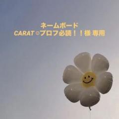 プロフ必読。 CARAT‪︎‬ ‪︎☺︎プロフ必読！！様 専用 - メルカリ‬