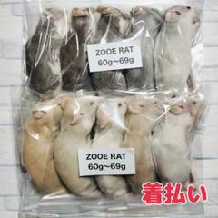 個包装 冷凍ラット 15匹セット 100~130g前後 個包装 冷凍ラット 15匹セット 100~130g 爬虫類・両生類のエサ