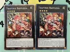 遊戯王 フレシアの蟲惑魔 プラチナシークレットレア シークレットレア 英語版