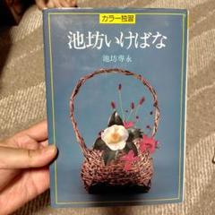池坊　四季のいけ花　春夏秋冬　全冊セット 2025年最新】池坊_専永の人気アイテム - メルカリ