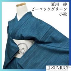 小紋　夏用　立涌　紗　小紋　ピーコックグリーン　紋無し　着物　063a d
