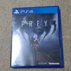 PREY