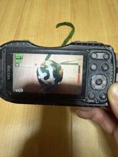 2025年最新】ricoh wg 4の人気アイテム - メルカリ