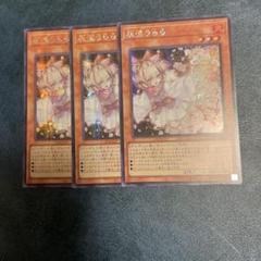 灰流うらら アジアシークレット 3枚 - メルカリ