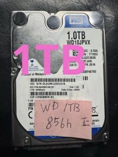 使用時間少ないWD 1TB WD10JPVX 内蔵型ハードディスクドライブ