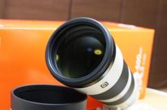FE 200-600mm F5.6-6.3 G OSS SEL200600G