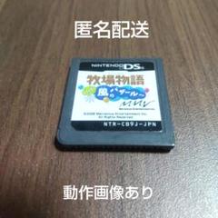牧場物語 ようこそ!風のバザールへ ds