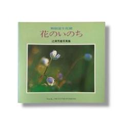箱根湿生花園 花のいのち 辻満芳雄写真集