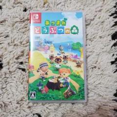 あつまれ どうぶつの森 Nintendo Switch