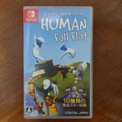 Switch　ヒューマン　フォール　フラット
